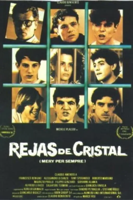 Rejas de cristal_peliplat