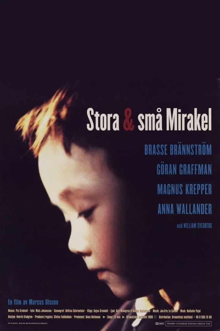 Stora & små mirakel_peliplat