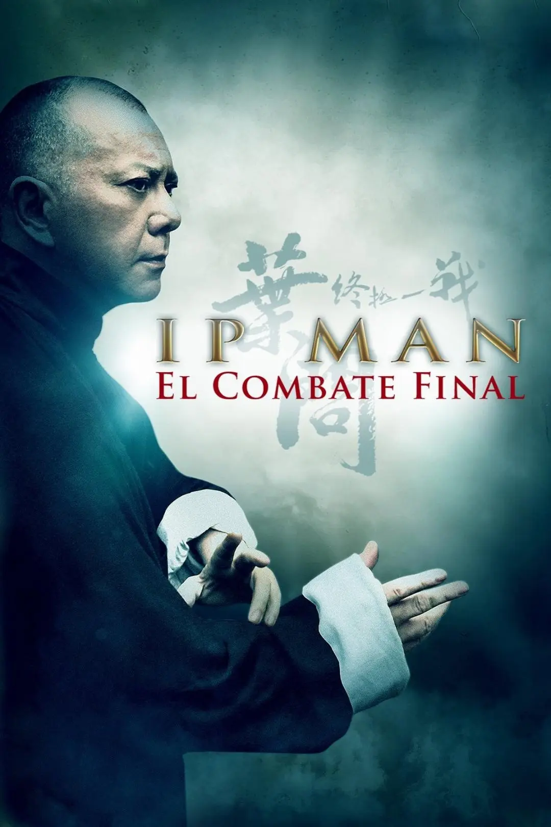 Ip Man: The Final Fight_peliplat