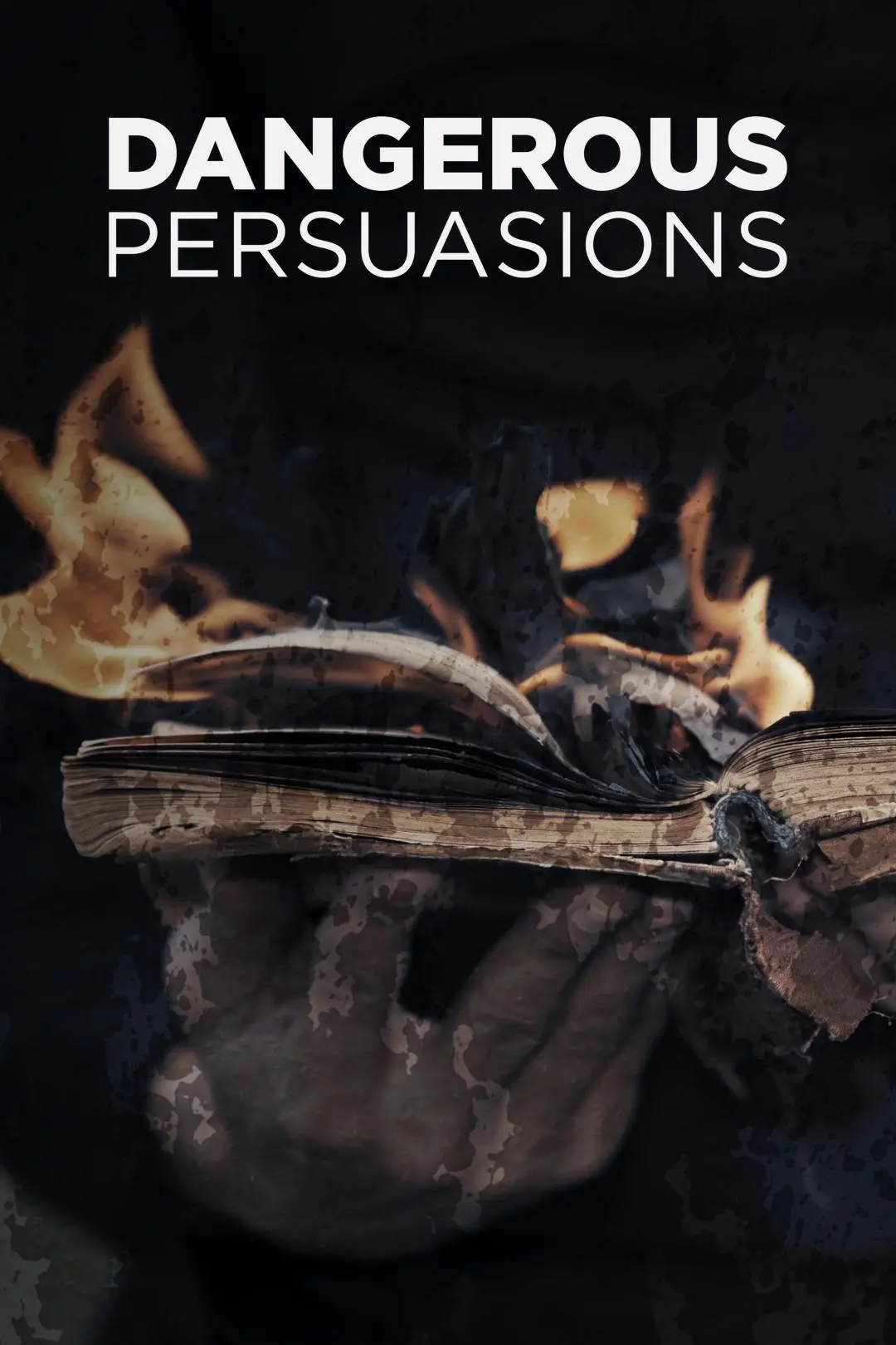 Dangerous Persuasions_peliplat