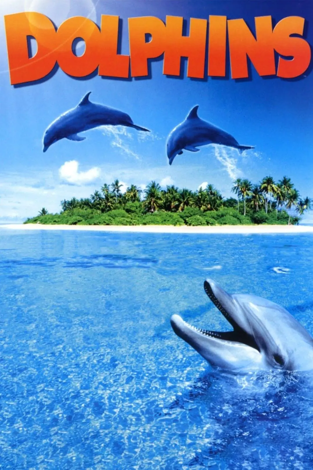 Dolphins_peliplat