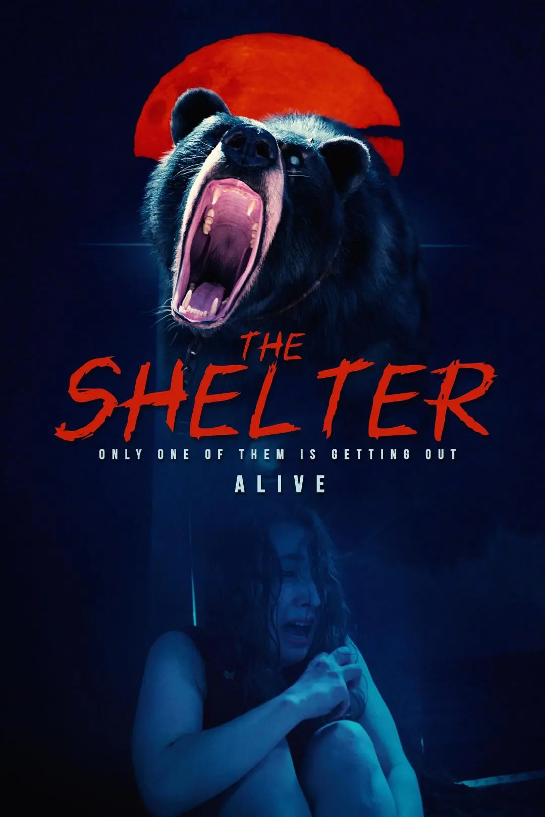 The Shelter_peliplat