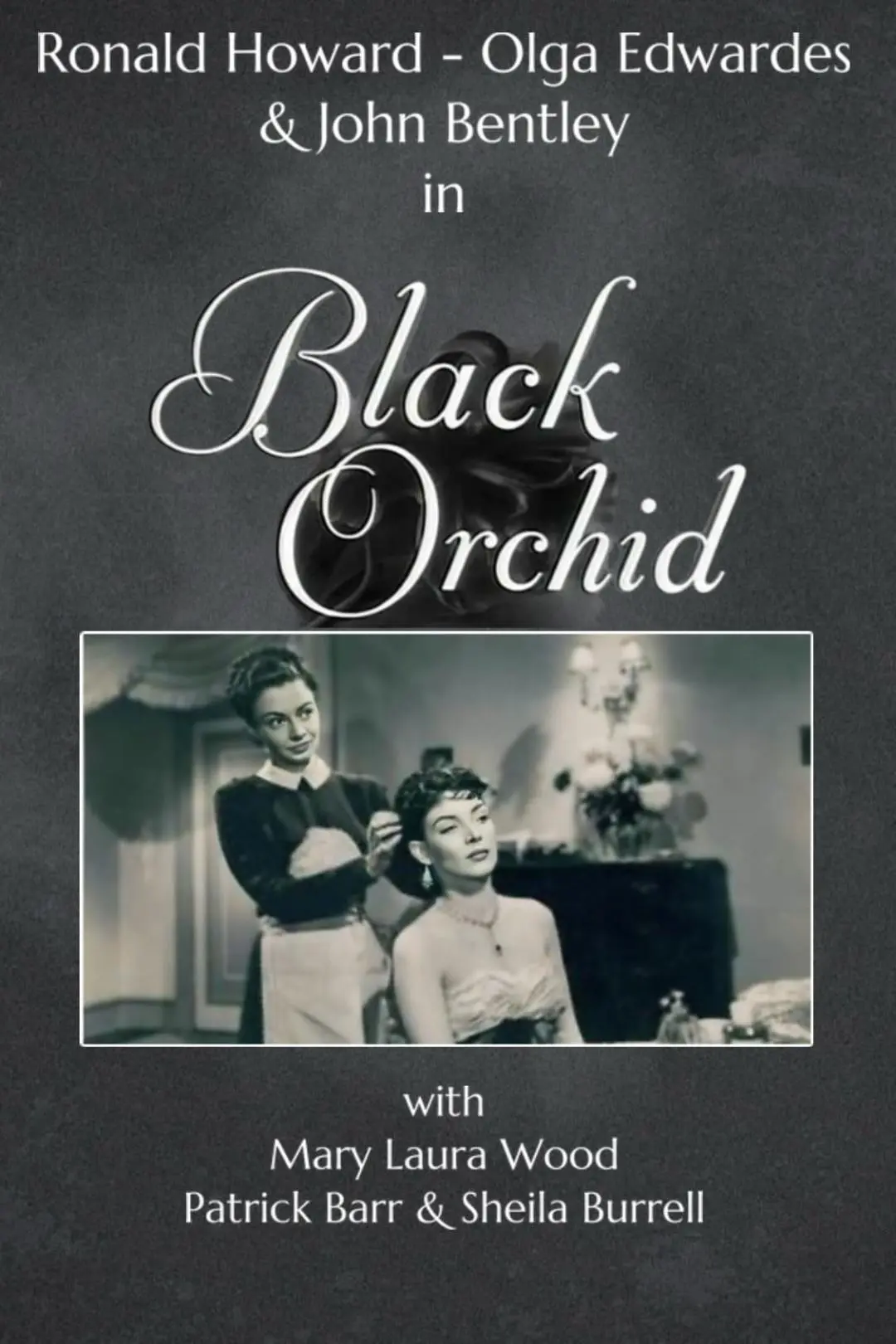 Black Orchid_peliplat