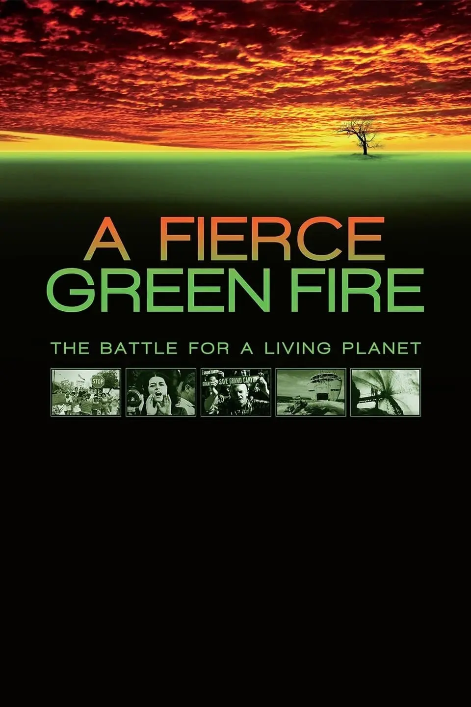 A Fierce Green Fire: The Battle for A Living Planet_peliplat