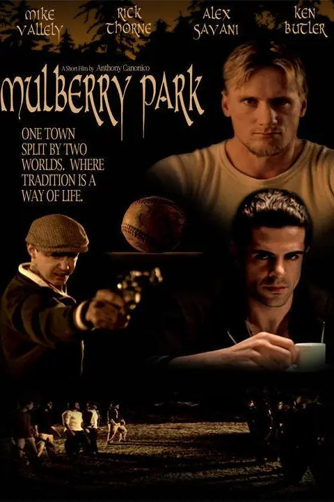 Mulberry Park_peliplat