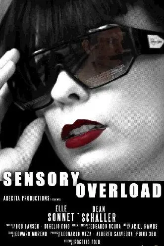 Sensory Overload_peliplat