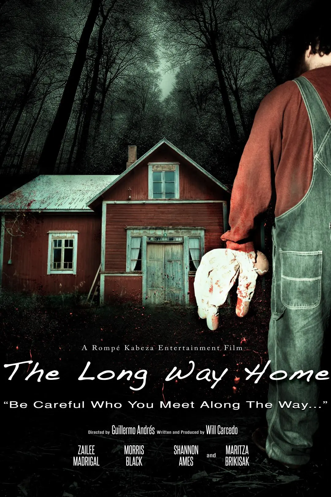 The Long Way Home_peliplat