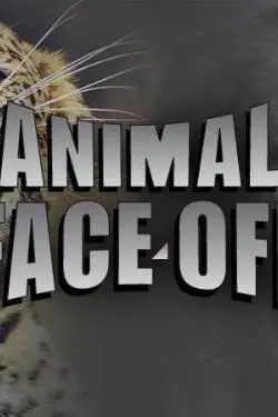 Animal Face Off_peliplat