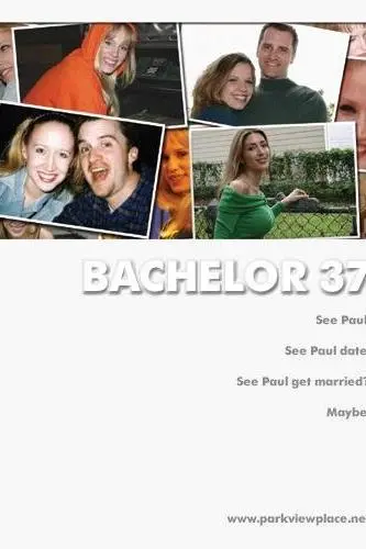 Bachelor 37_peliplat