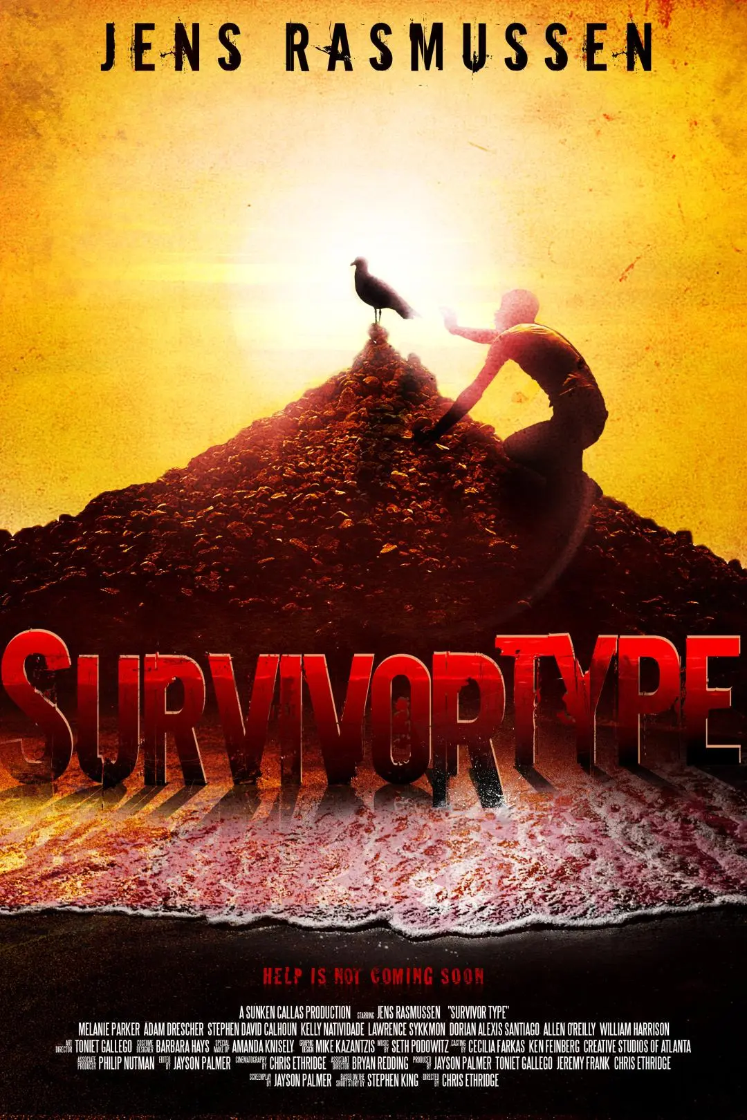 Survivor Type_peliplat