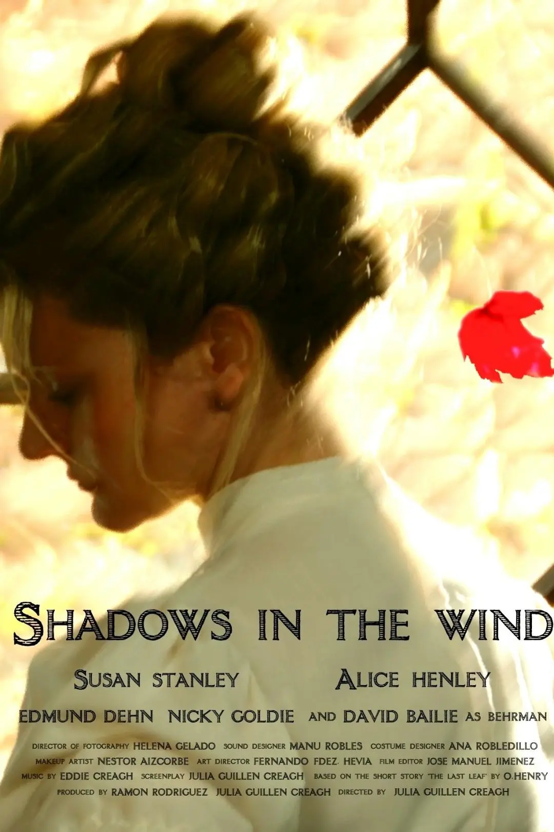 Shadows in the Wind_peliplat