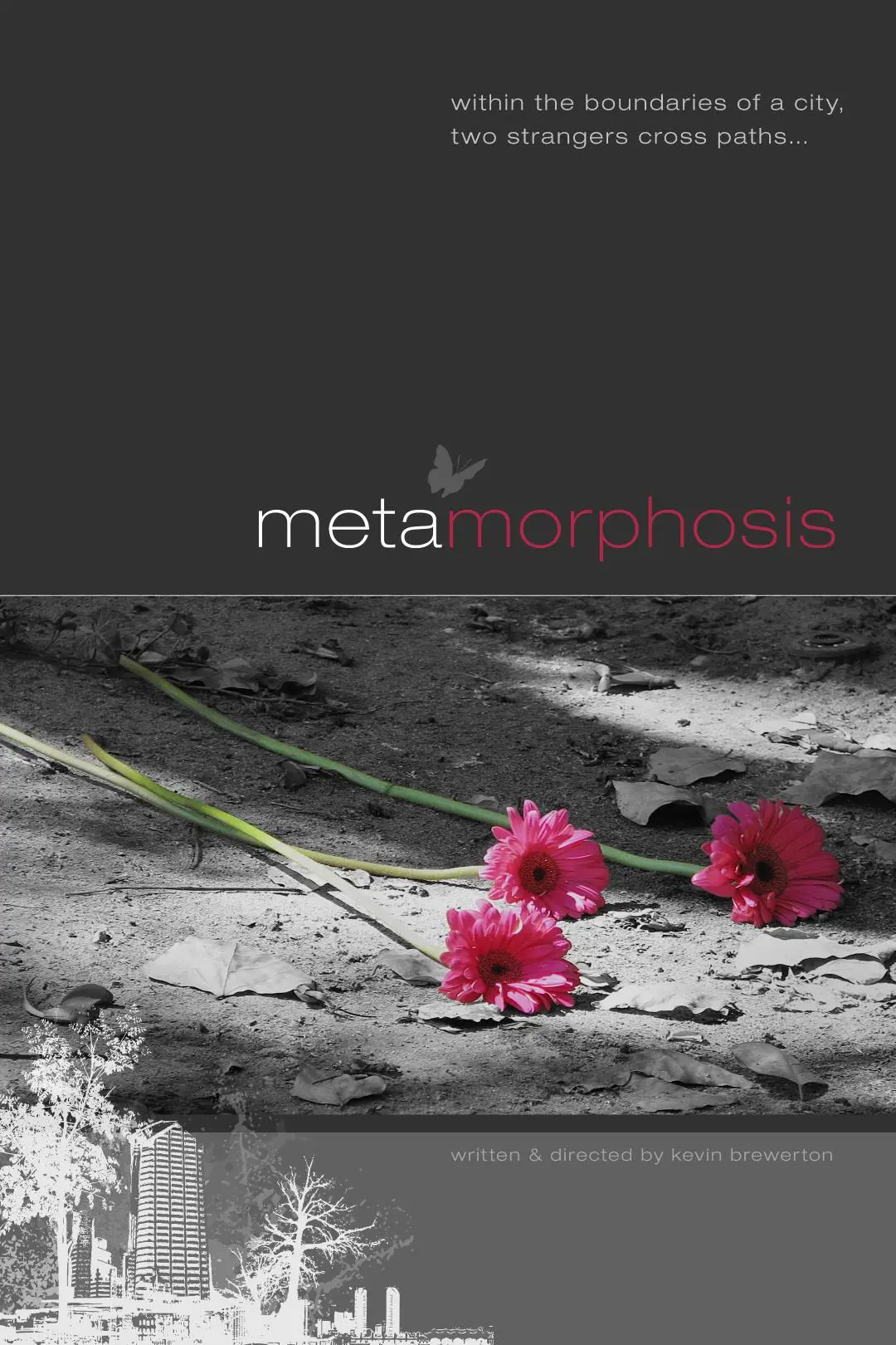 Metamorphosis_peliplat