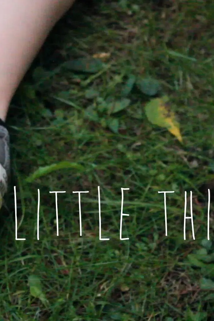 The Little Things_peliplat