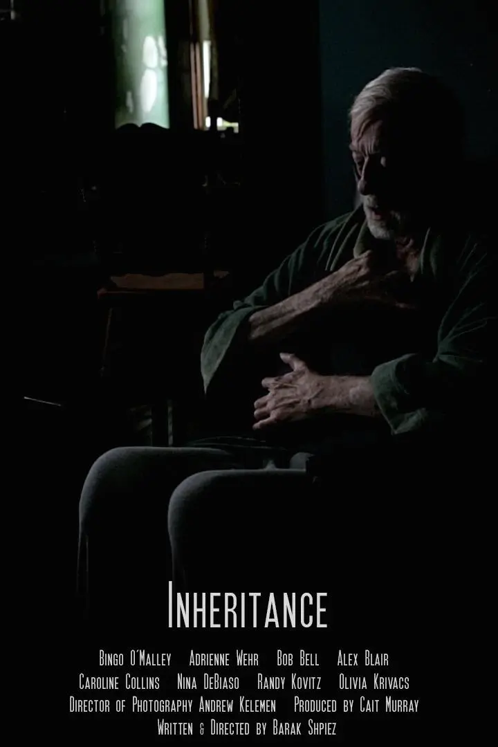Inheritance_peliplat