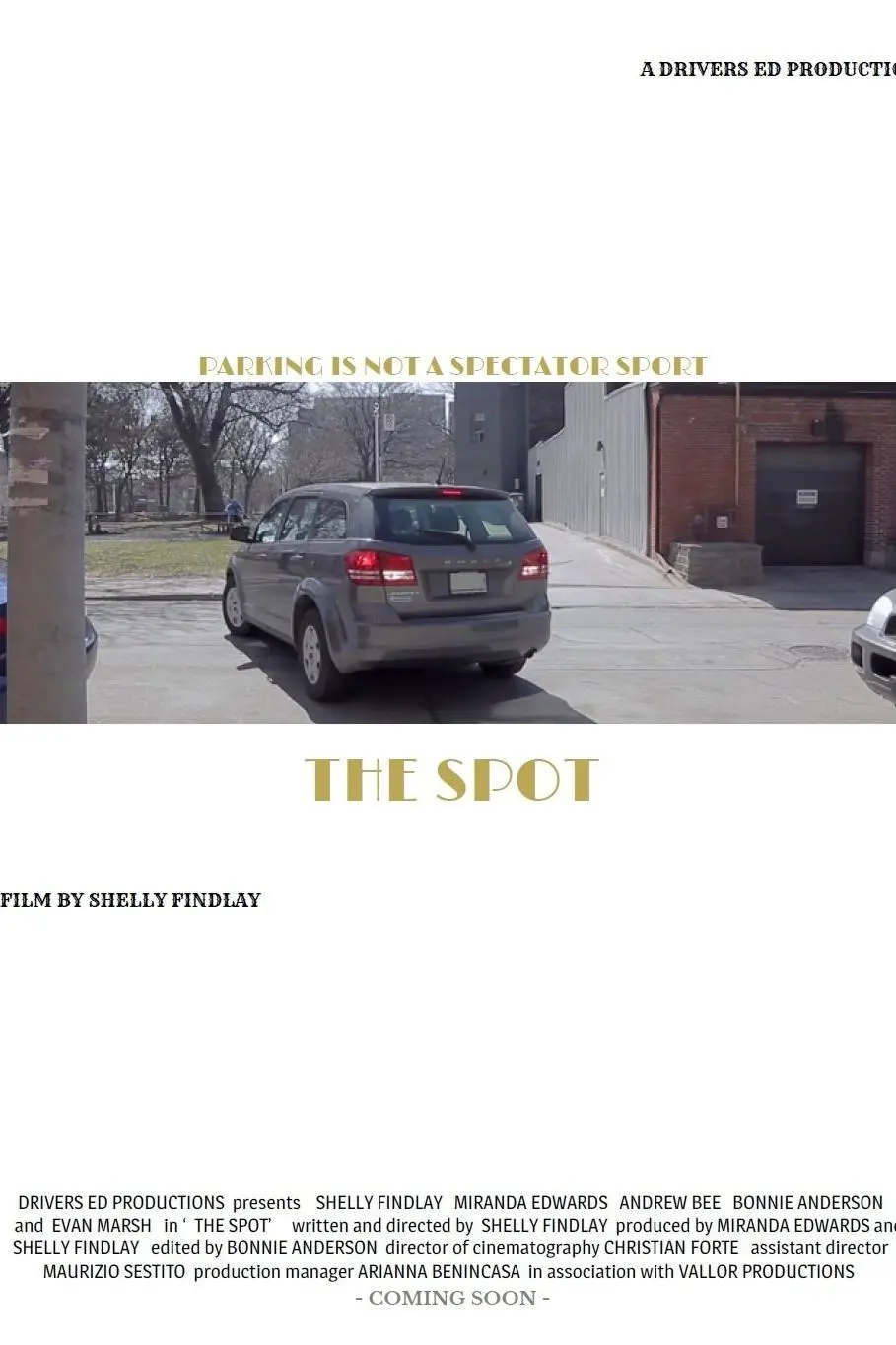 The Spot_peliplat