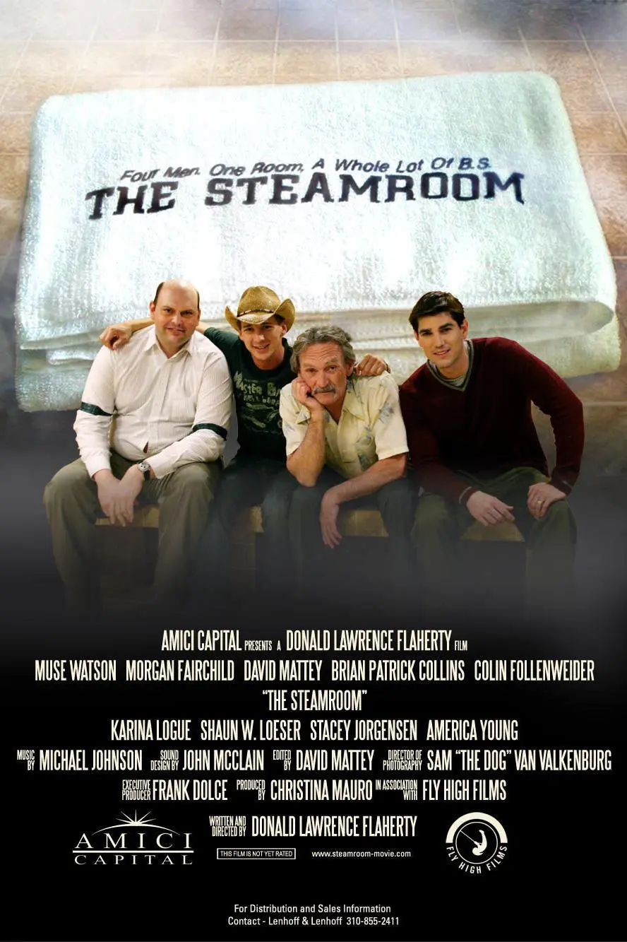 The Steamroom_peliplat