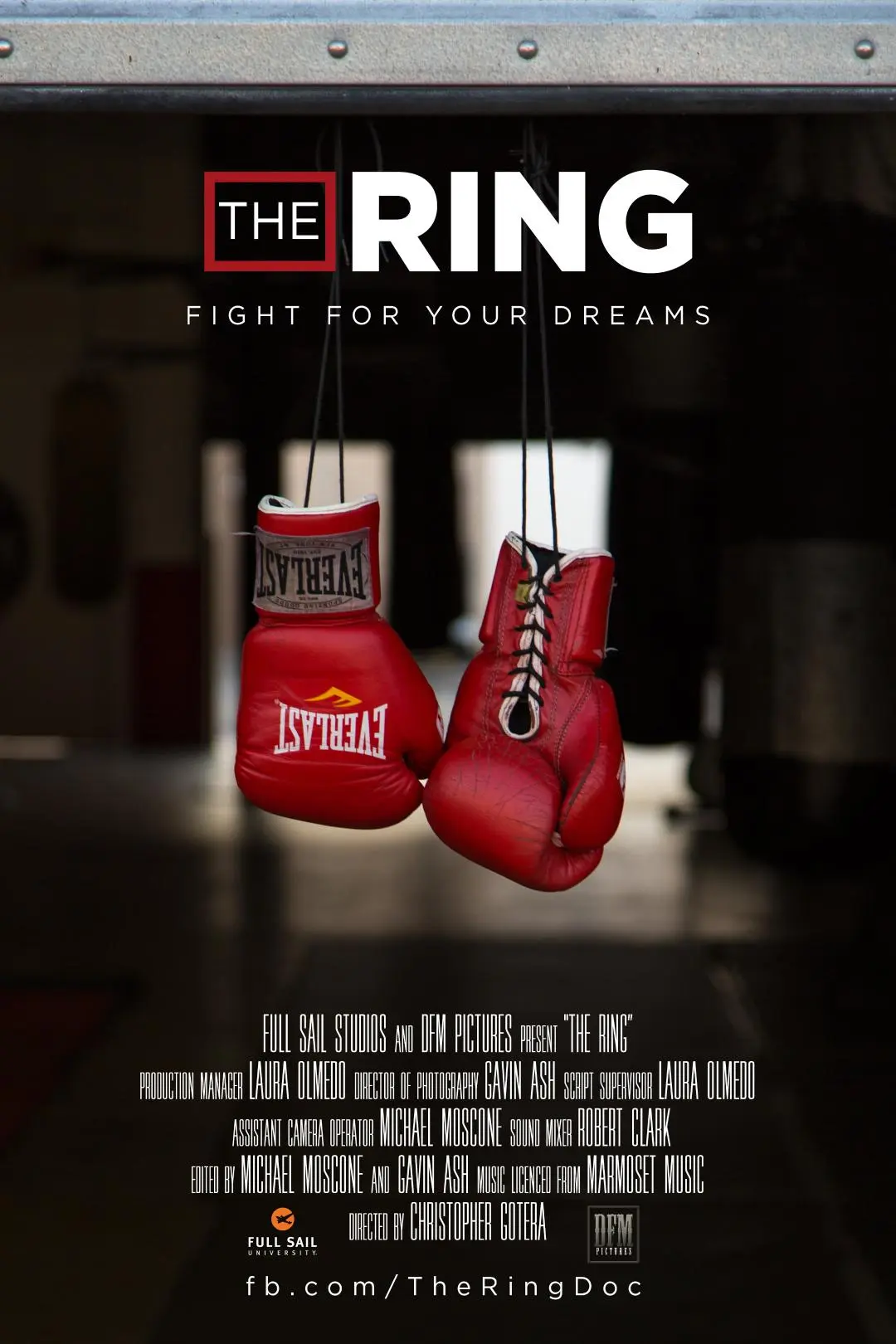 The Ring: Documentary_peliplat