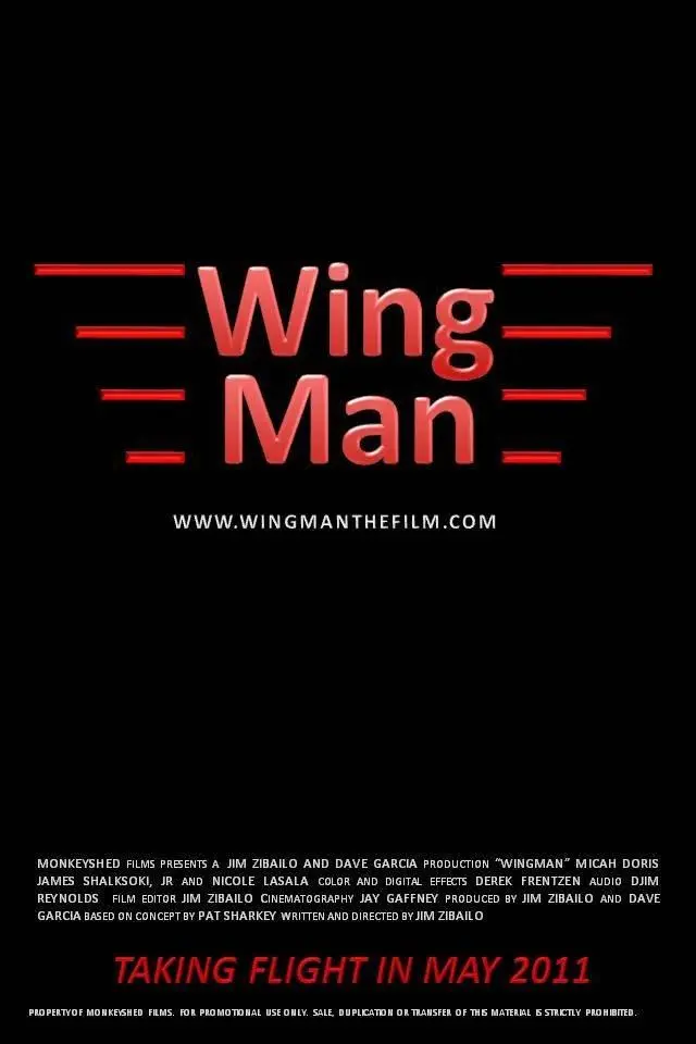 Wingman_peliplat