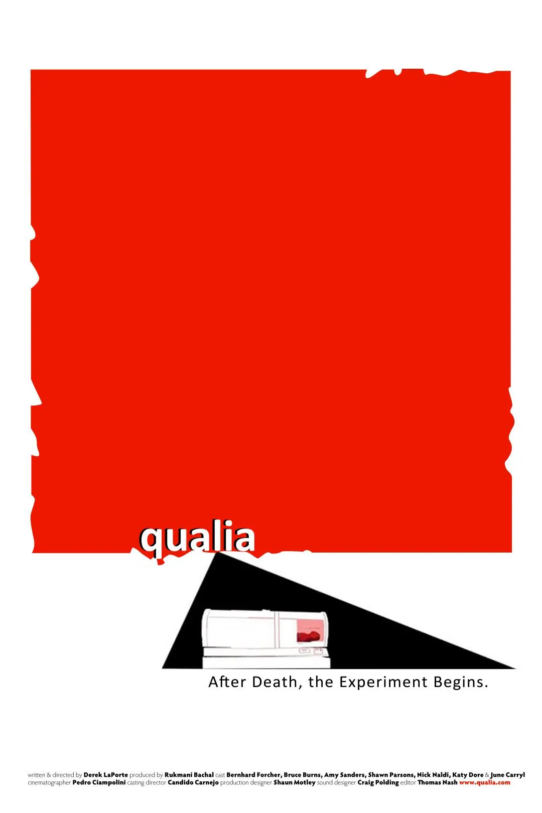 Qualia_peliplat