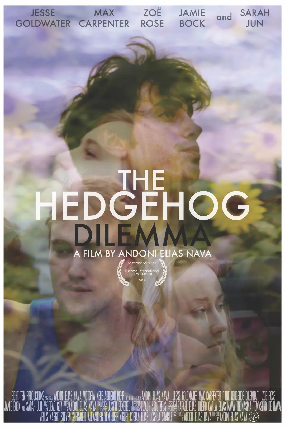 The Hedgehog Dilemma_peliplat