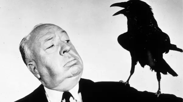 Por qué Hitchcock era un genio: deconstruyendo una escena de Los Pájaros_peliplat