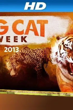 Big Cat Week_peliplat