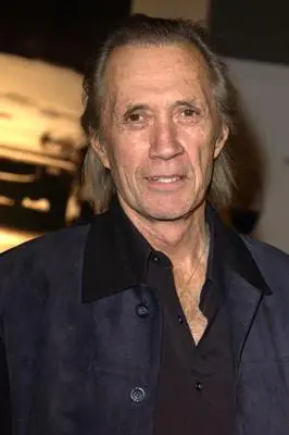 David Carradine_peliplat