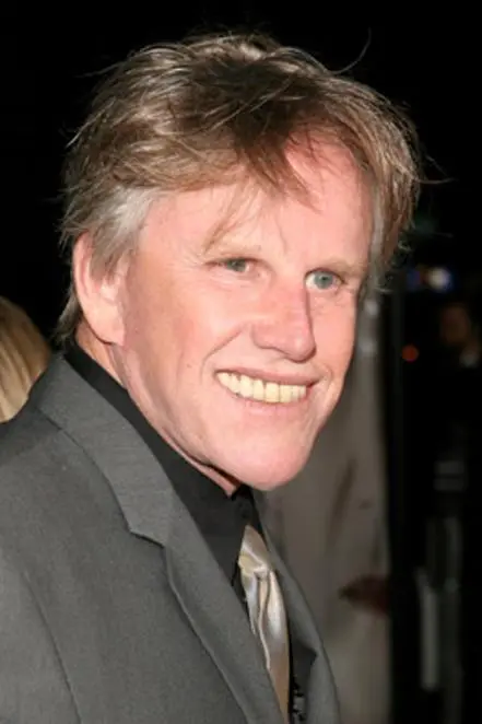 Gary Busey_peliplat