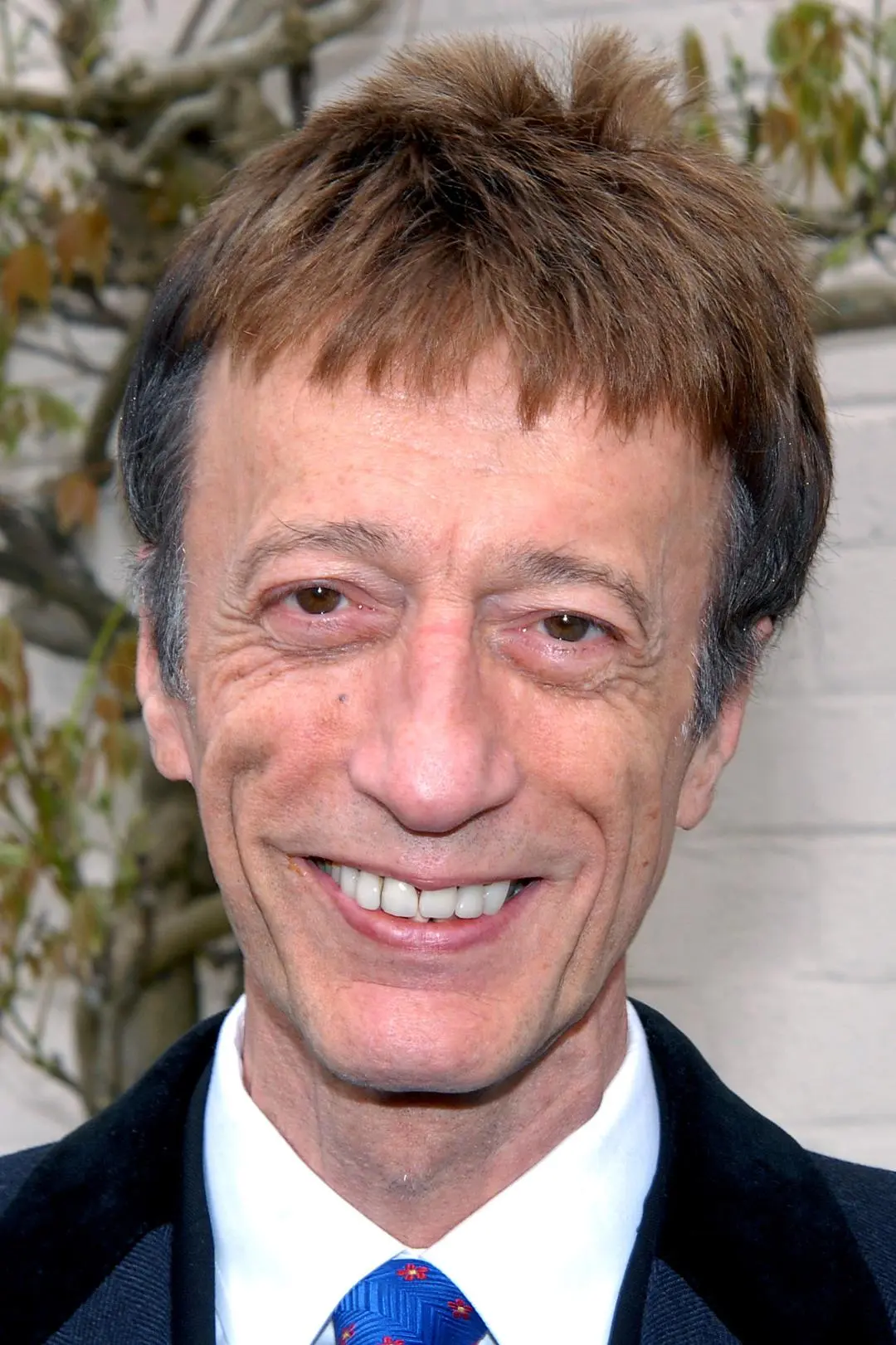 Robin Gibb_peliplat