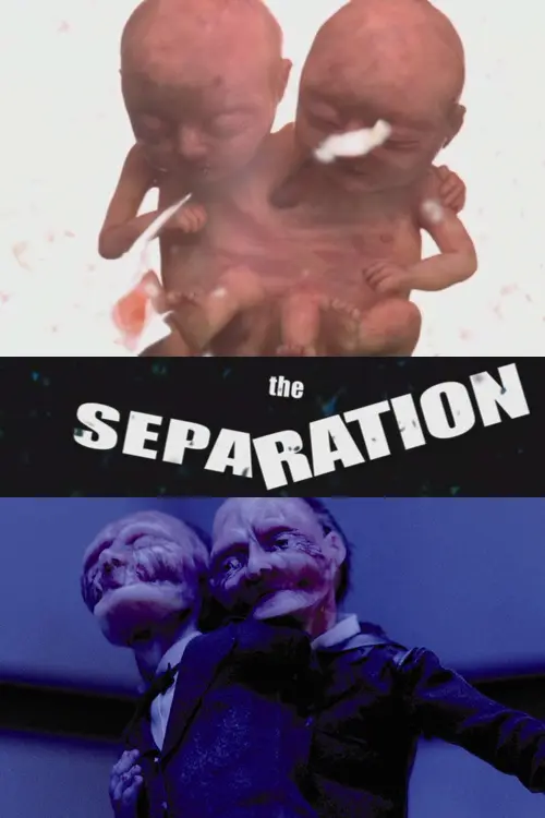 The Separation_peliplat