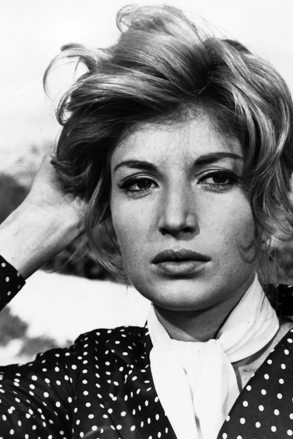 Monica Vitti_peliplat