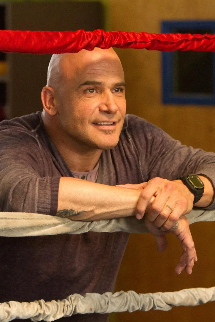 Bas Rutten_peliplat