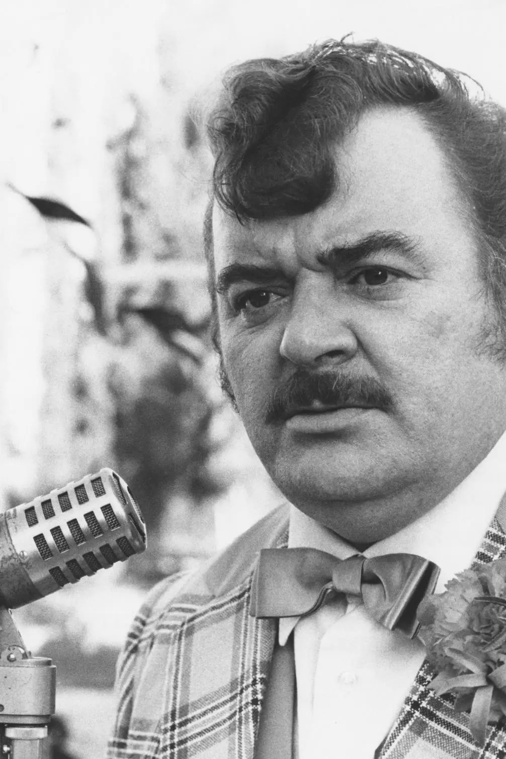 Paul shane_peliplat