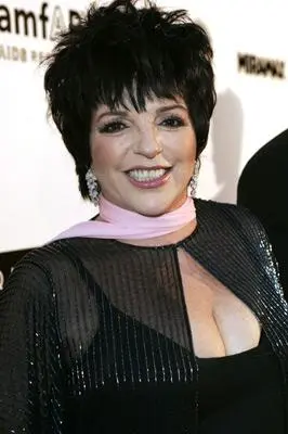 Liza Minnelli_peliplat