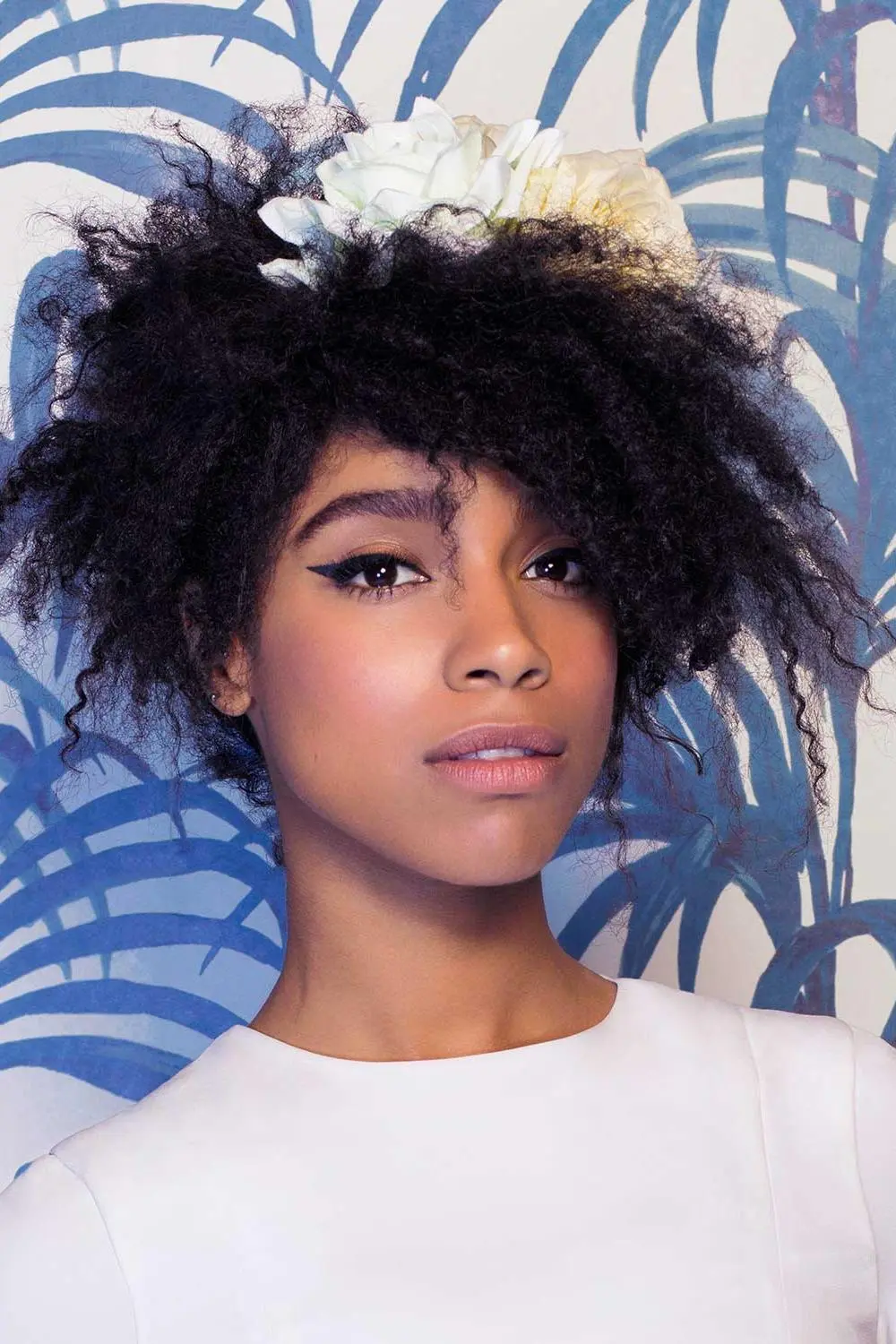 Lianne La Havas_peliplat