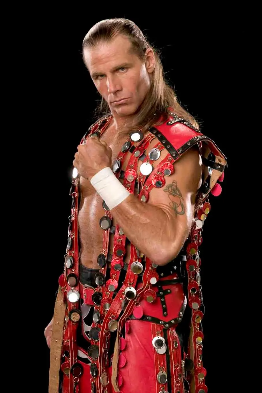 Shawn Michaels_peliplat