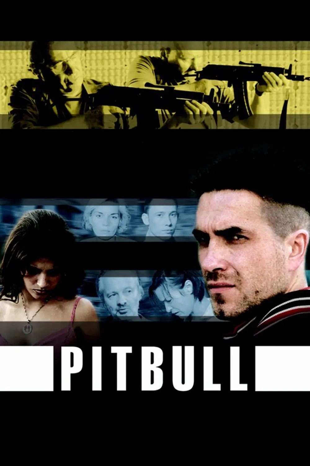 Pitbull_peliplat