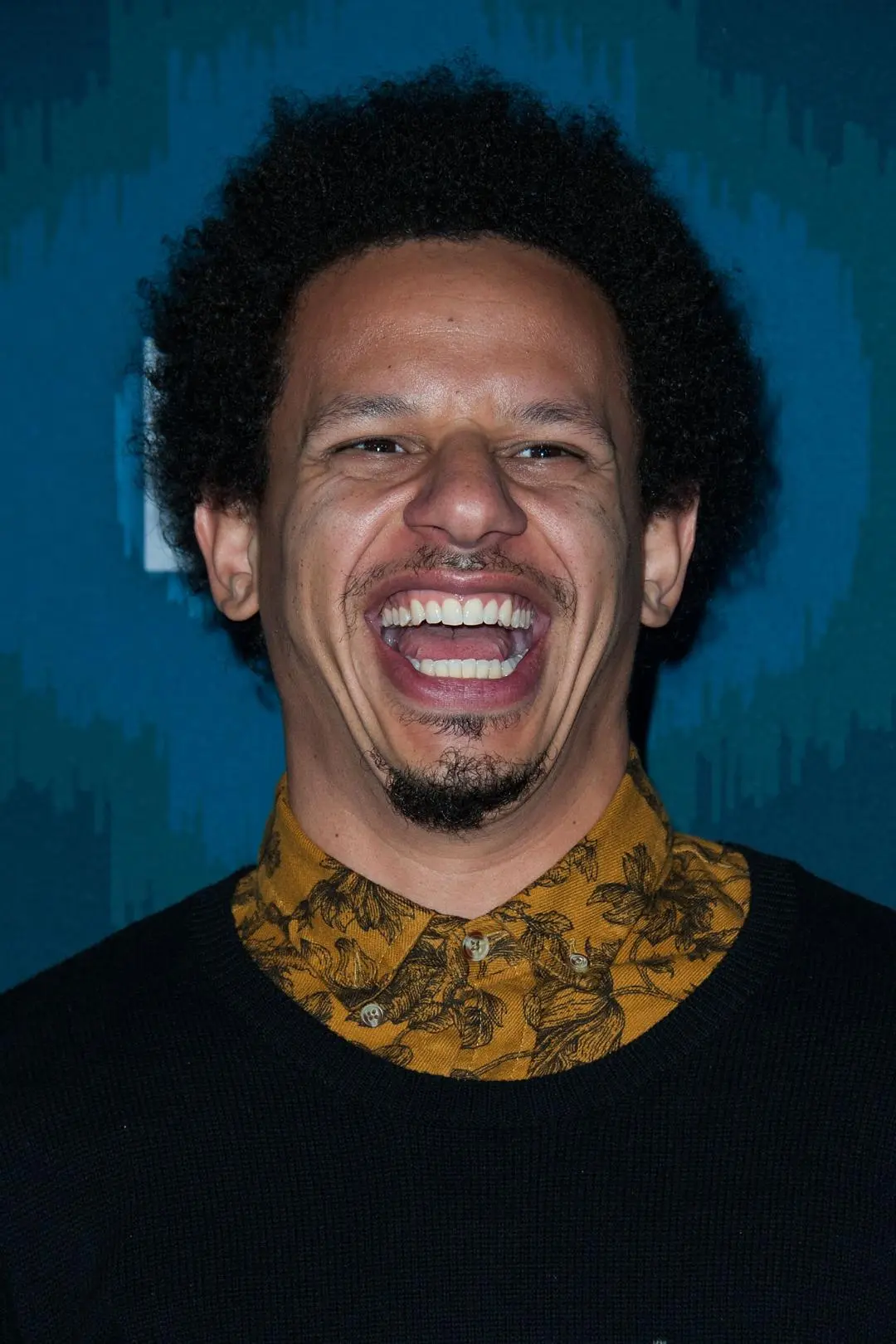 Eric André_peliplat