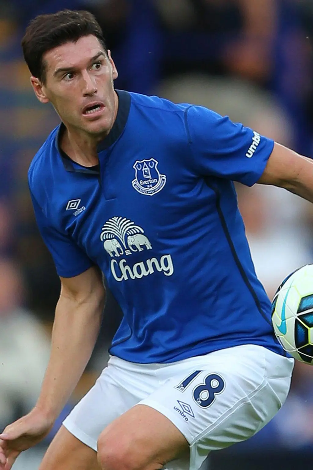 Gareth Barry_peliplat