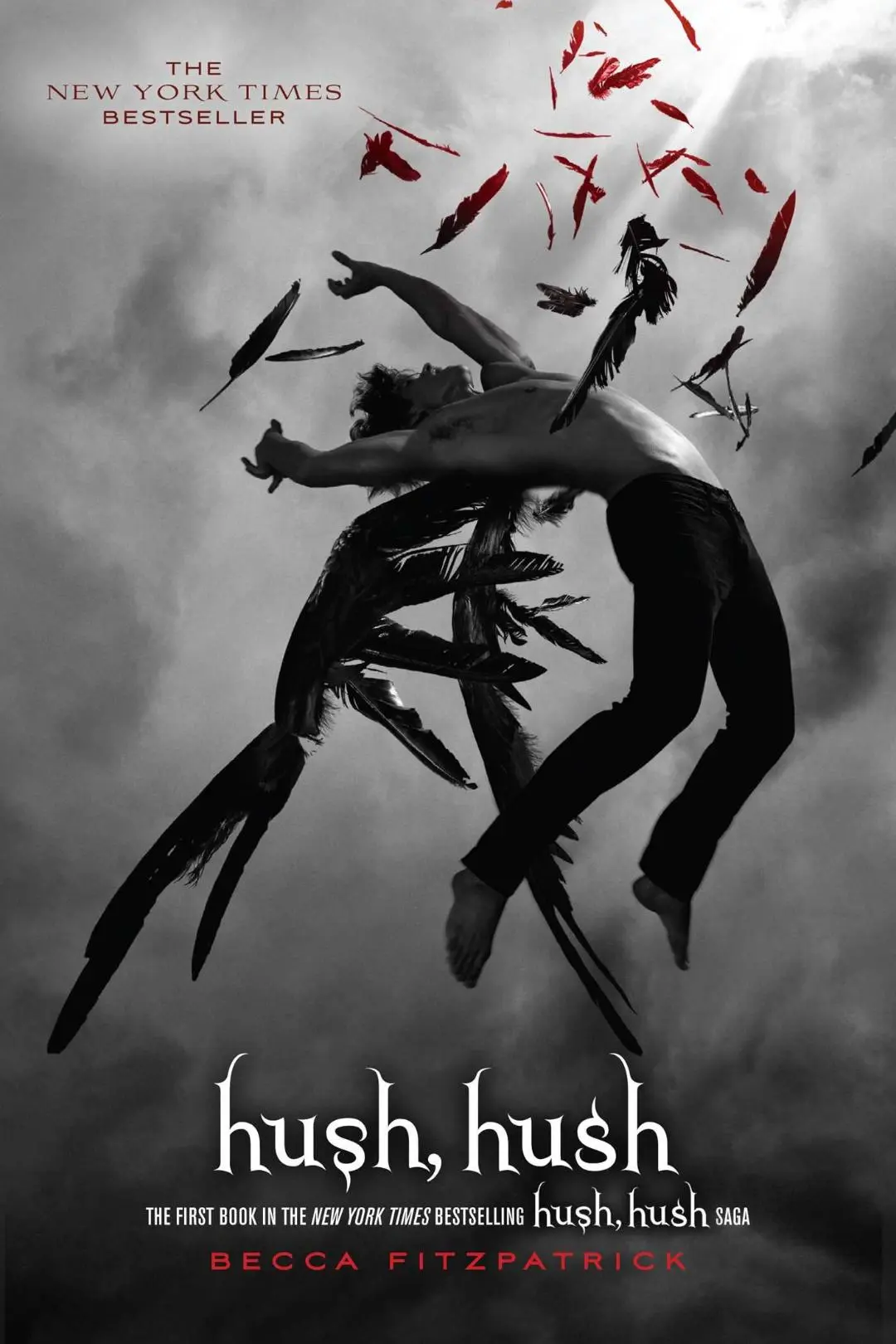 Hush, Hush_peliplat