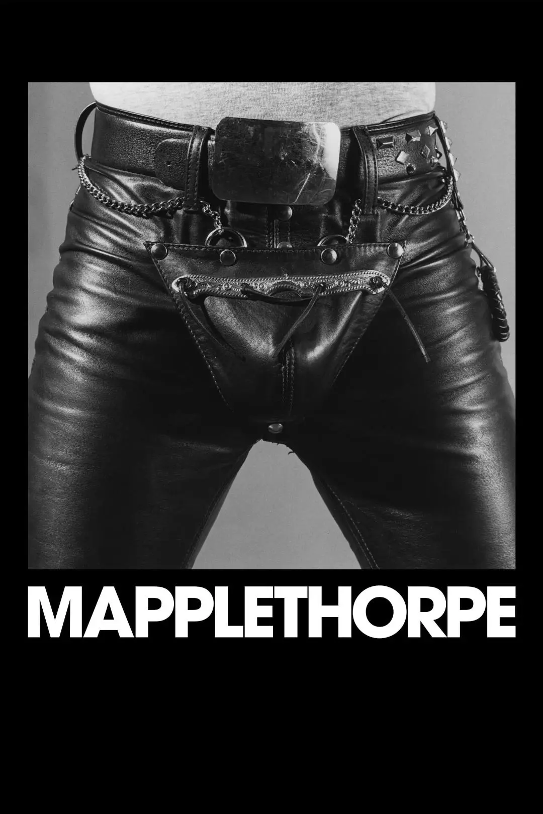 Mapplethorpe: The Director's Cut_peliplat
