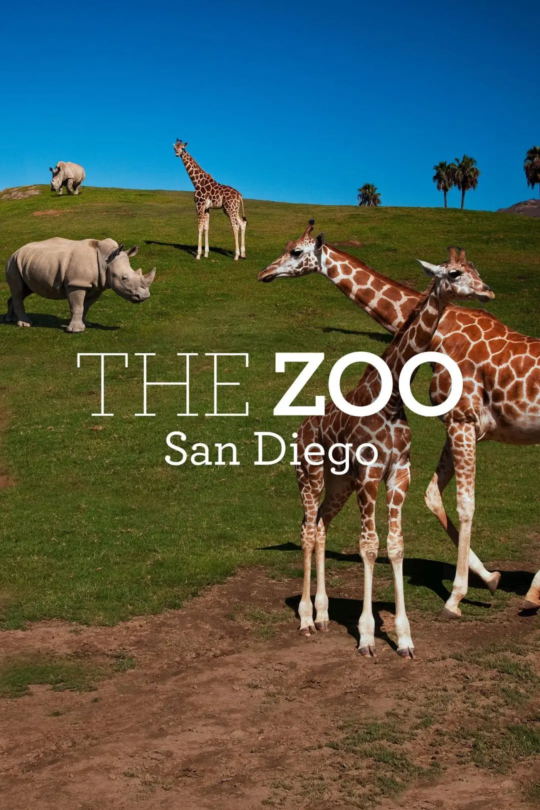 The Zoo: San Diego_peliplat