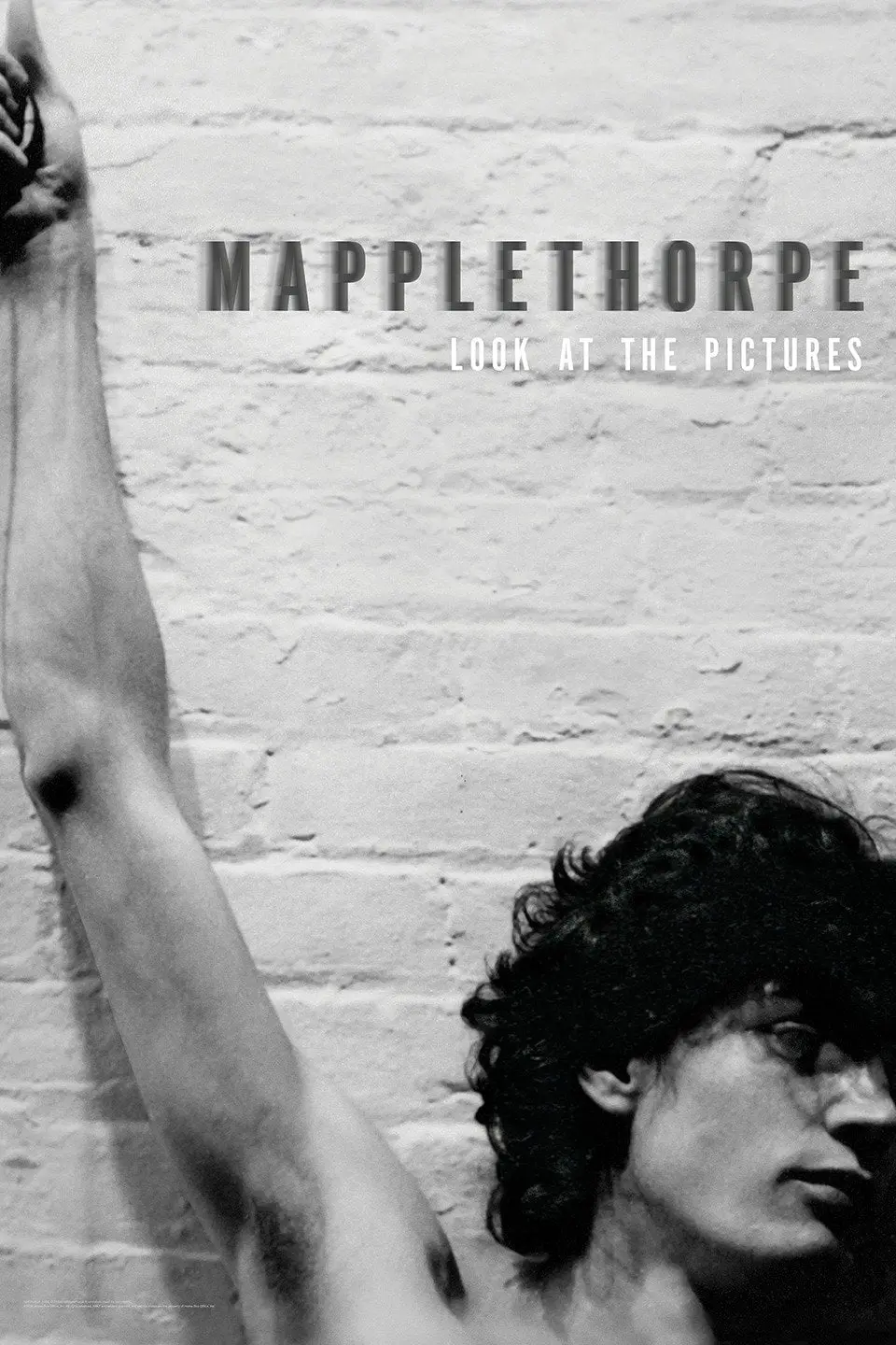 Mapplethorpe: Olhe as Fotografias_peliplat
