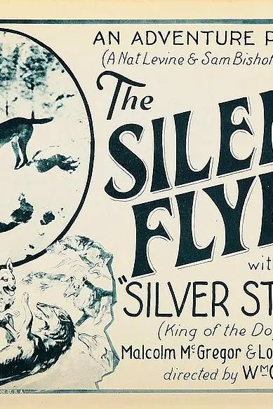 The Silent Flyer_peliplat