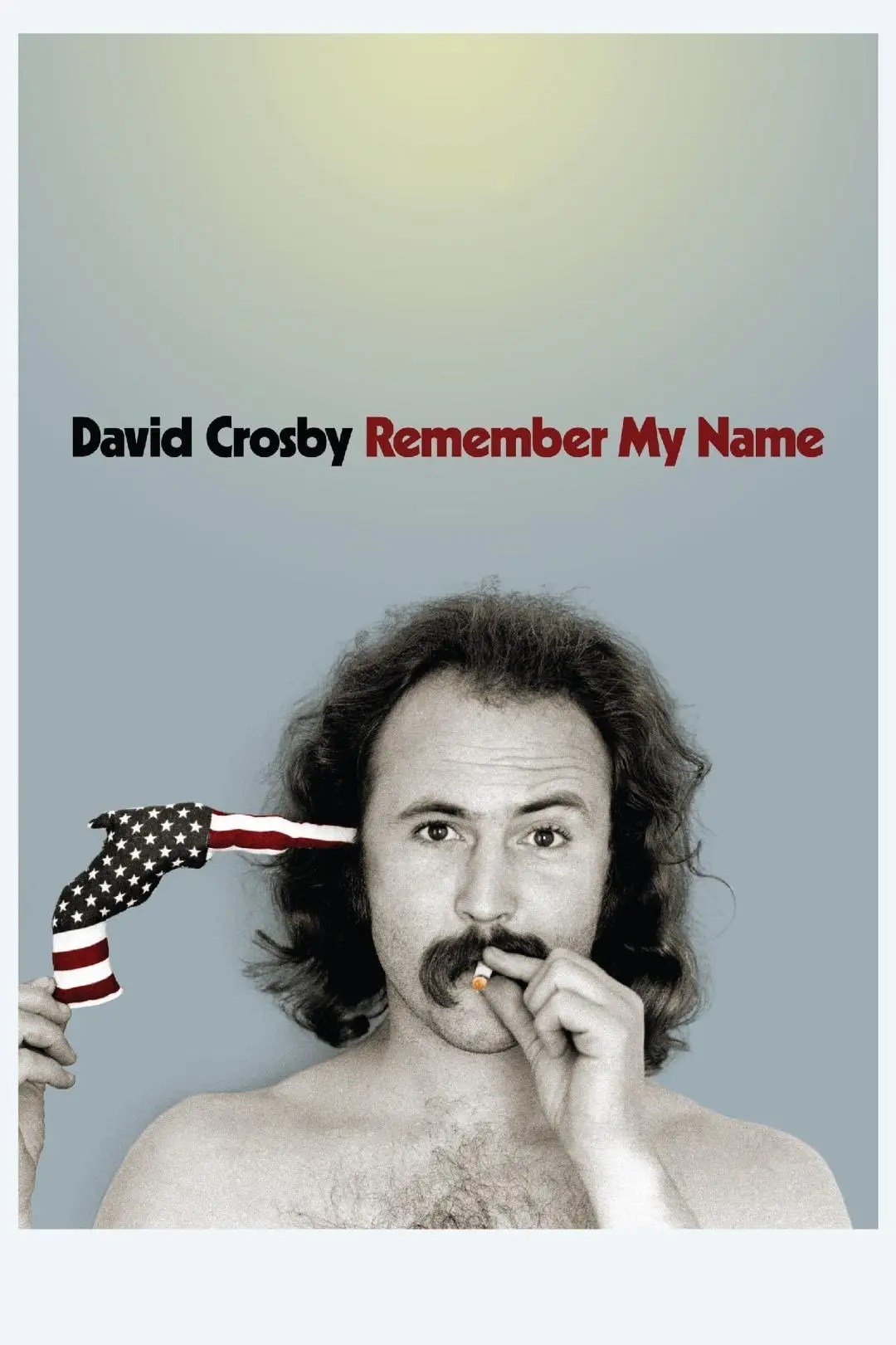 David Crosby: Remember My Name_peliplat
