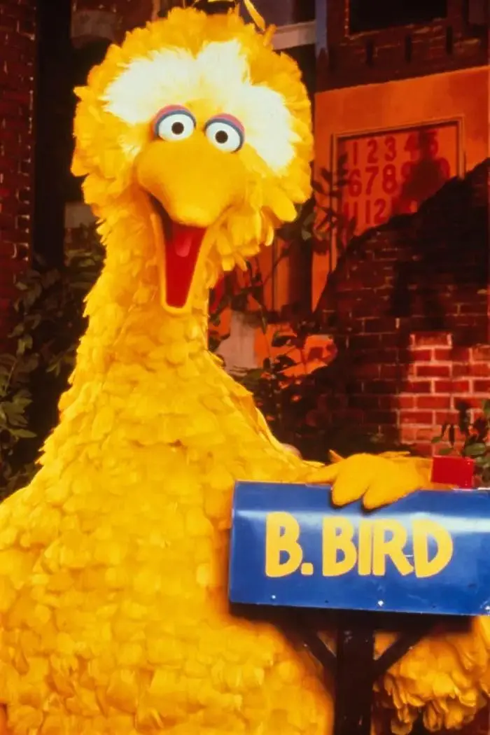 Big Bird_peliplat