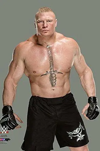 Brock Lesnar_peliplat