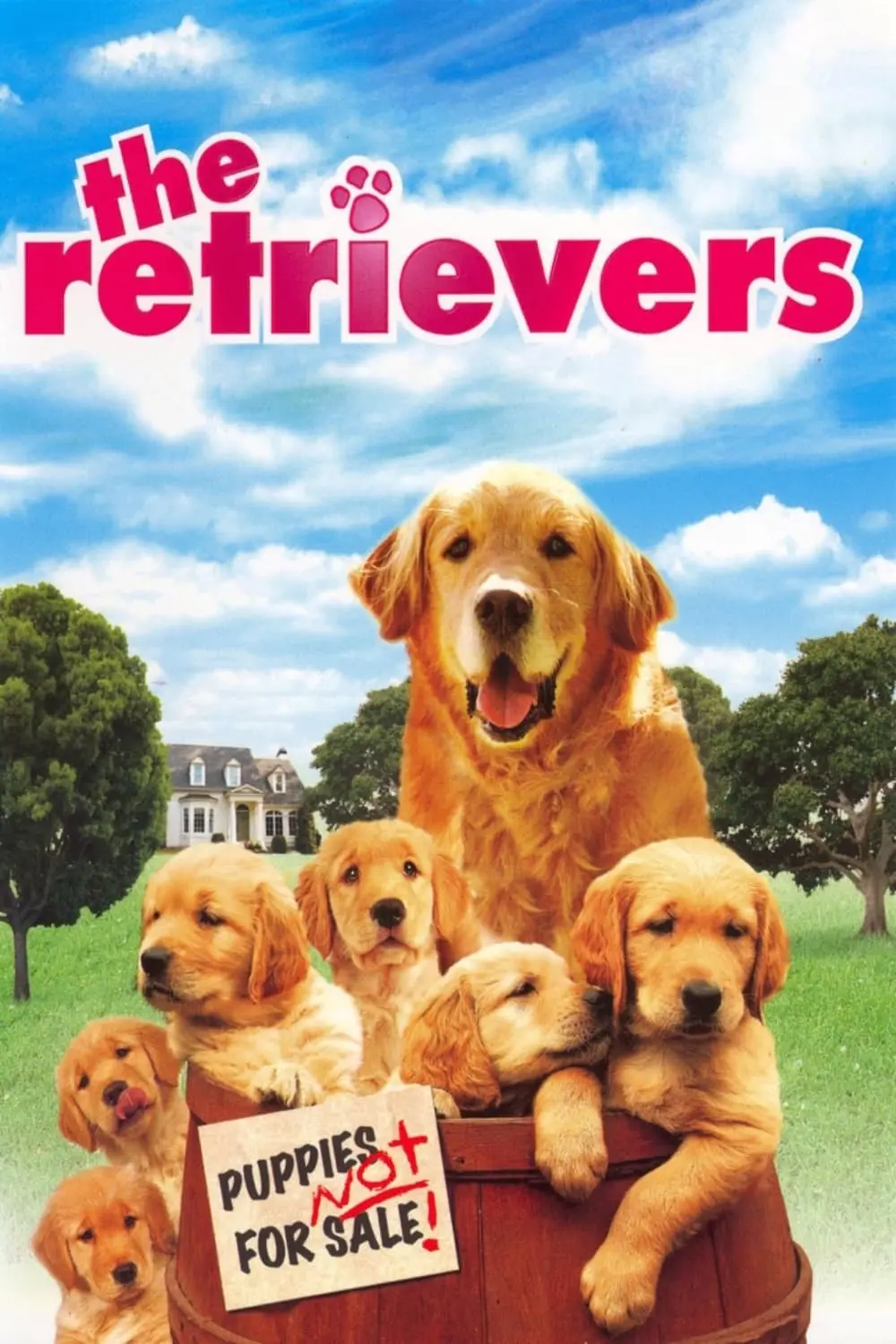 Un retriever... y seis más_peliplat