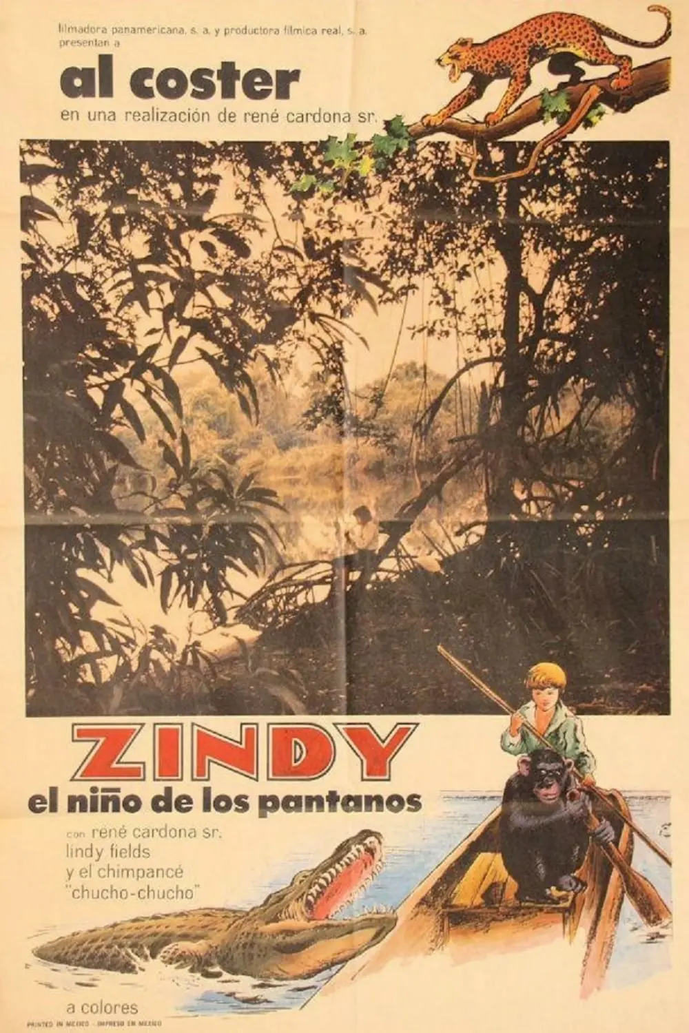 Zindy the Swamp Boy_peliplat