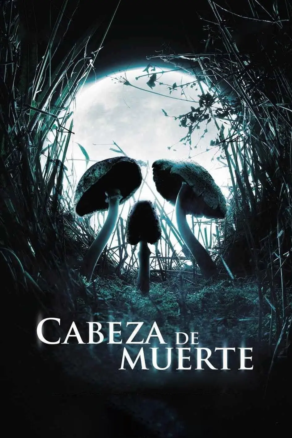 Cabeza de muerte_peliplat